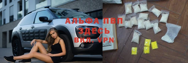 СК Мегион