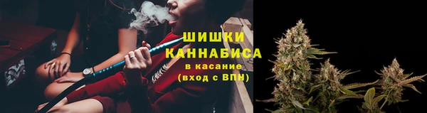 трава Медвежьегорск