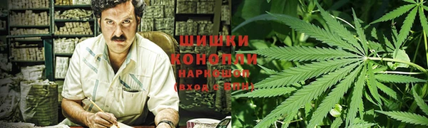 СК Мегион