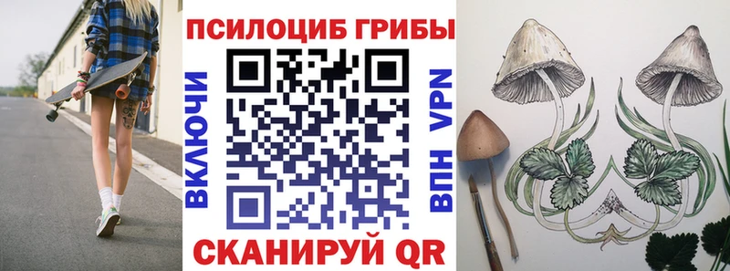 где продают наркотики  Североморск  Псилоцибиновые грибы ЛСД 