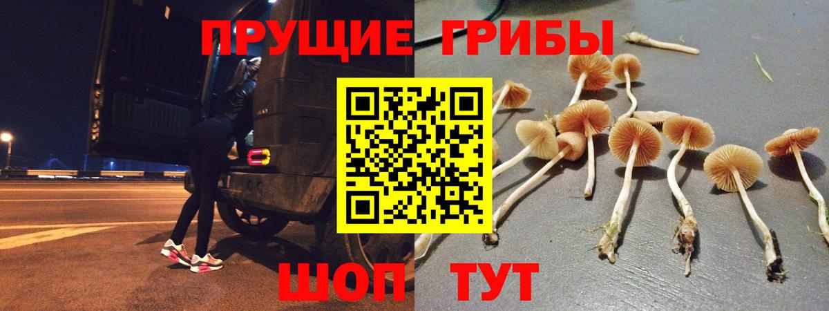 Североморск  Псилоцибиновые грибы Magic Shrooms  где найти наркотики  Галлюциногенные грибы Psilocybe  Вход с VPN 