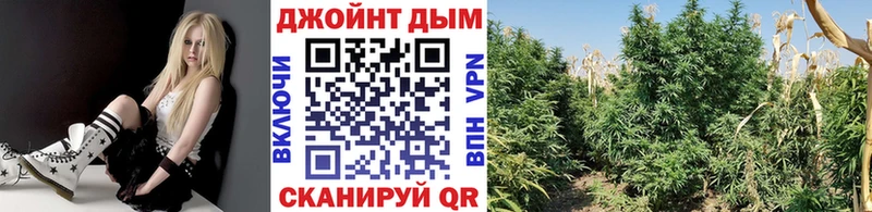МАРИХУАНА THC 21%  Североморск 